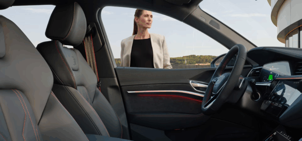 Q8 e-tron - Image 3