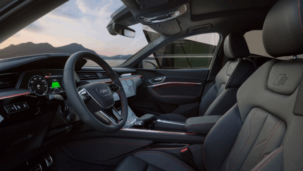 Q8 e-tron - Image 2